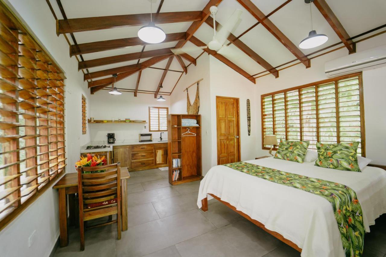 Dreamy Contentment Matapalo  Extérieur photo